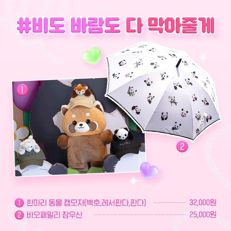 #비도 바람도 다 막아줄게