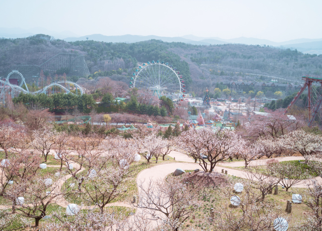 에버랜드만의 특별한 공간 이미지