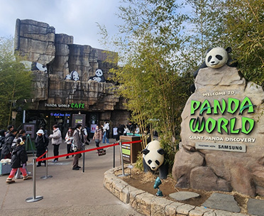 판다월드-삼성전자