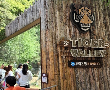 타이거 밸리-우리은행