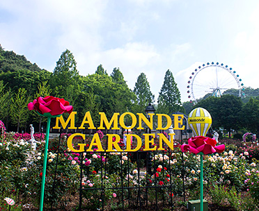 봄 축제-마몽드