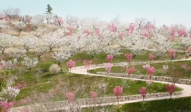 하늘정원길 이미지