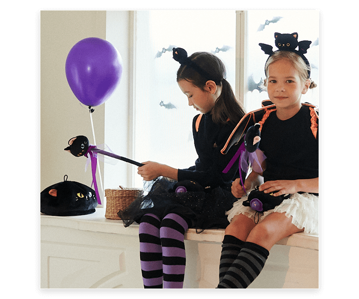 박쥐 세트 이미지