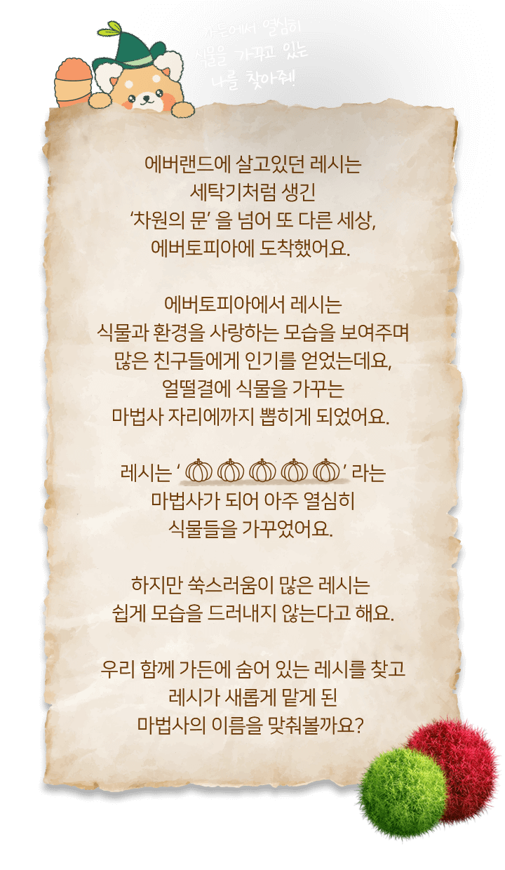 마법사 레시 이야기