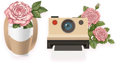 테이크아웃 장미, 폴라로이드 1회 촬영