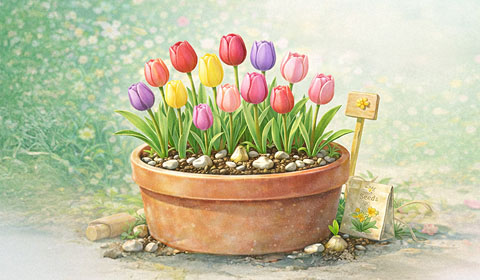 봄을 기다리는 정원