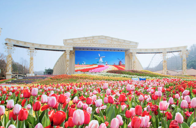 에버랜드 4회 이용