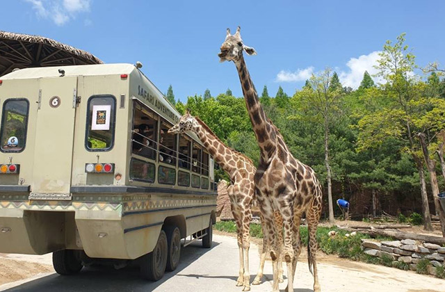 Q-PASS(시설 우선 이용권)