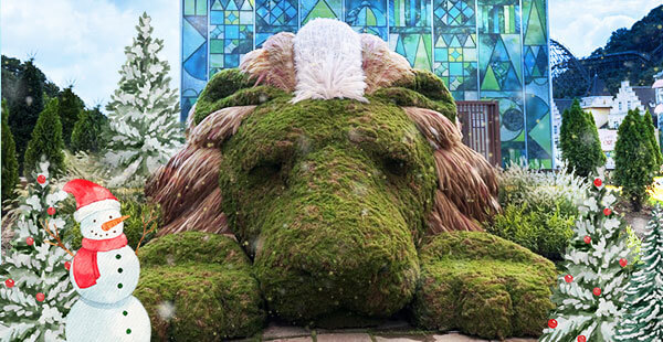 겁쟁이 사자 포토존