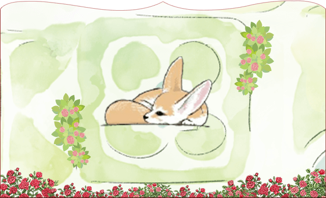 비너스원 (휴식의 공간)